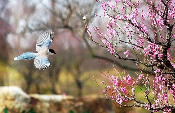 （示意图：互联网）