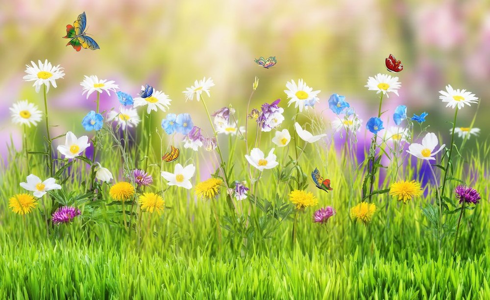 （示意图：互联网）