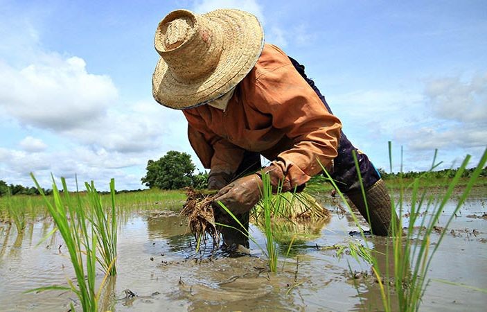 （示意图：互联网）