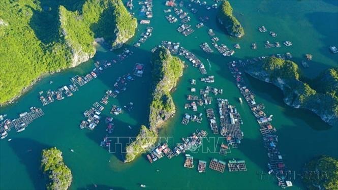 摄影为宣传和促进越南旅游业做出了巨大贡献。图为从空中俯瞰的兰下湾美景。