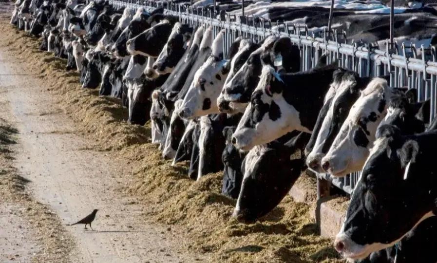 （示意图：互联网）