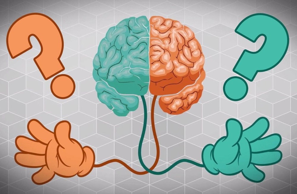 惯用右或左手可能由胚胎细胞中蛋白质决定