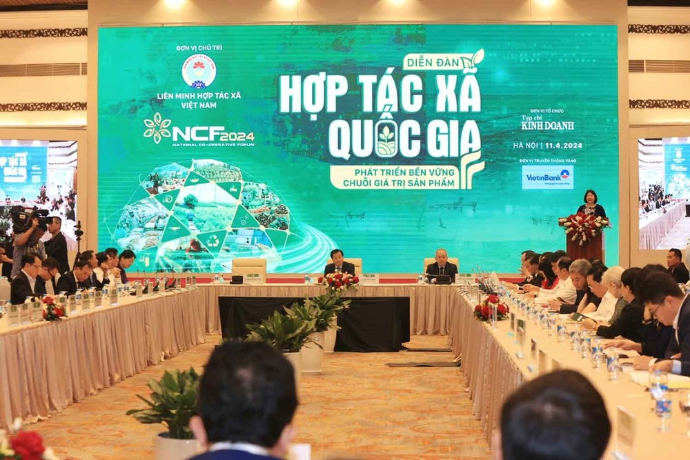 2024年国家合作社论坛场景。（图：VGP）