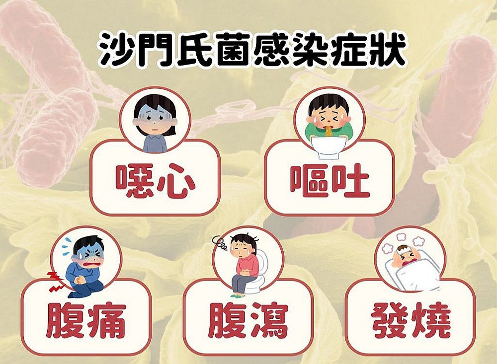 酷热天气为沙门氏菌感染高峰期