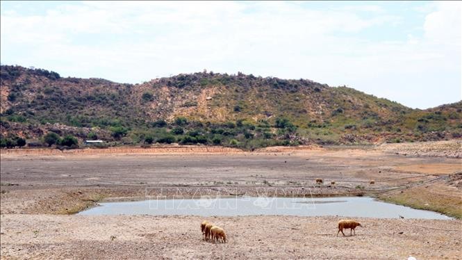 宁顺省宁海县的京翁湖水源已经干涸。（图：越通社）