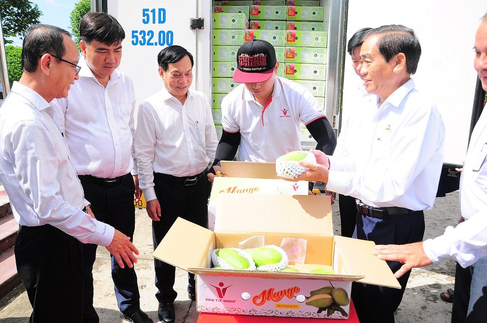 各代表参观将出口的绿皮芒果。（图：永祥）