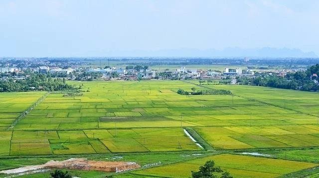 8月1日起在全国开展土地盘点。（示意图：互联网）