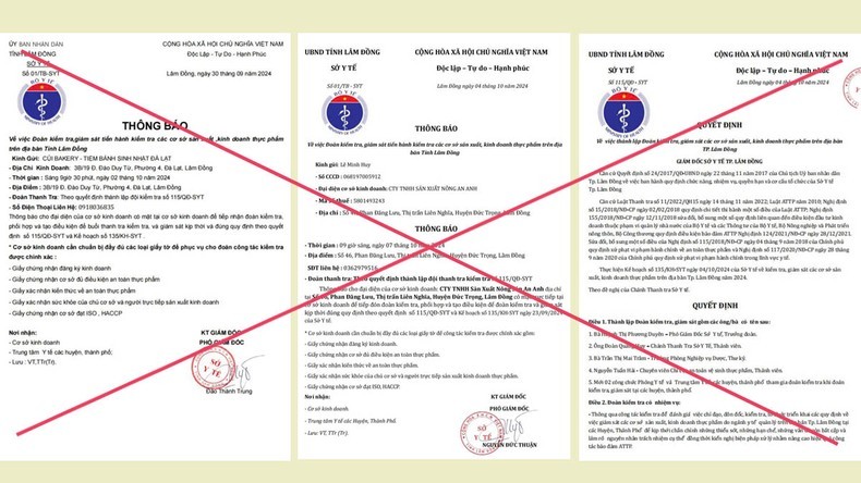 冒充林同省卫生厅的文件。（图：人民报）