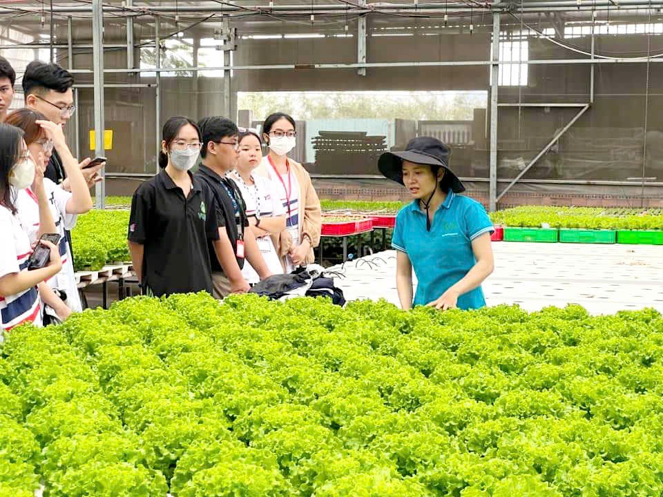 学生们参观俊玉农业合作社的无公害菜园。（图：T.N）