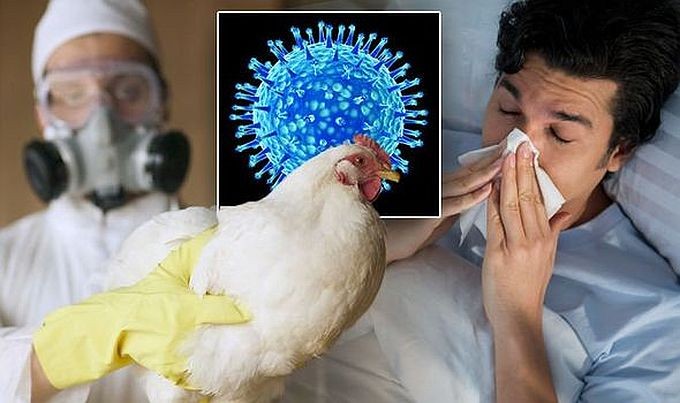 美国确认首例人感染 H5N1 型禽流感重症病例。（示意图：Getty Images）