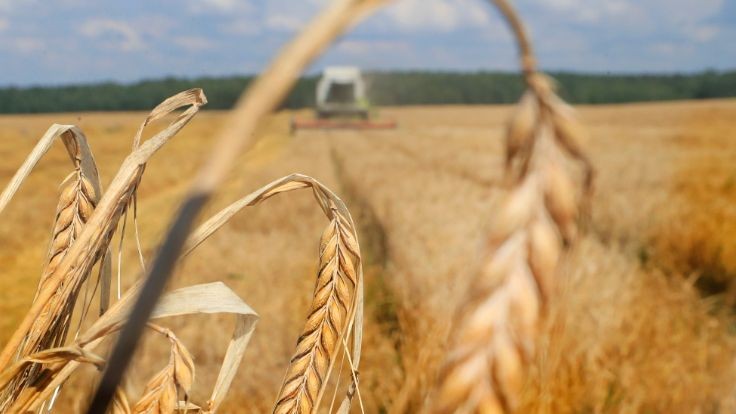 （示意图：互联网）