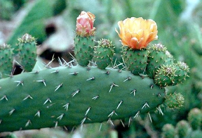 （示意图：互联网）