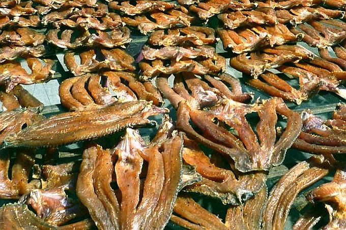 未按规定在36个月内参与评估，生鱼干产品被撤销三星级OCOP认证。