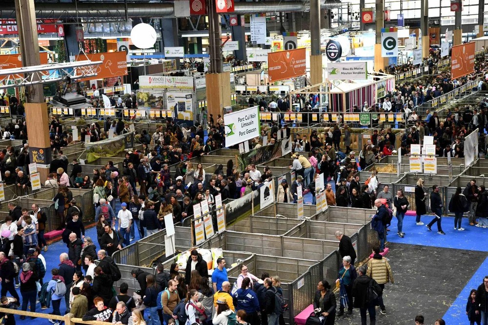 当天的农博会现场。（图：中新社）