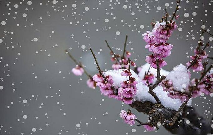 （示意图：互联网）