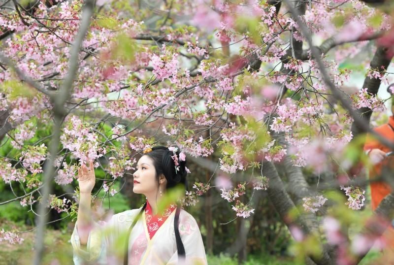 （示意图：互联网）