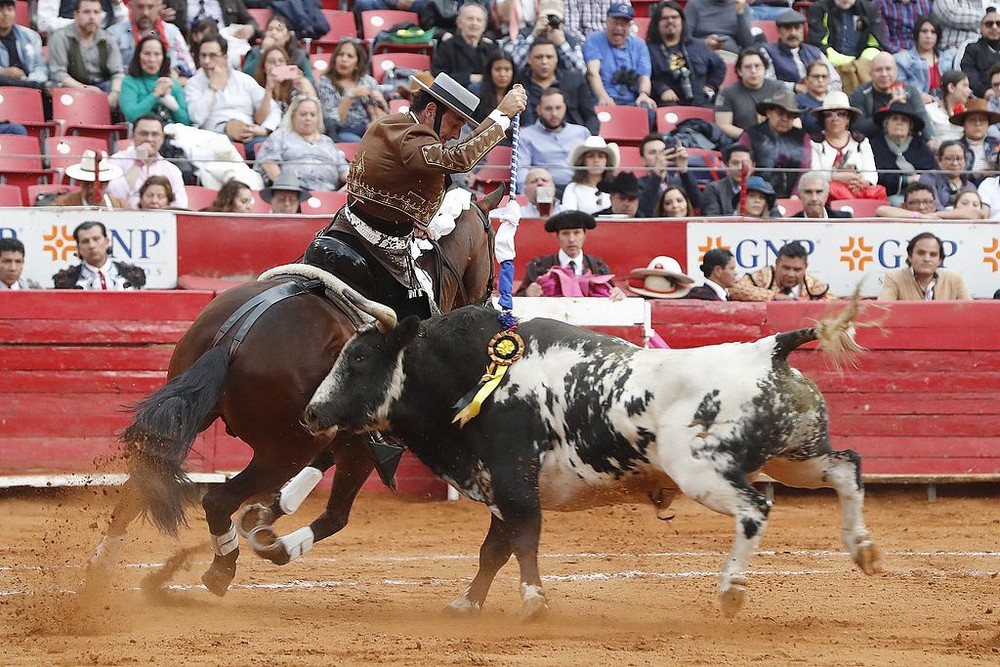 图为 2月23日，墨西哥城，斗牛士与重达483公斤的公牛对抗。（图：互联网）