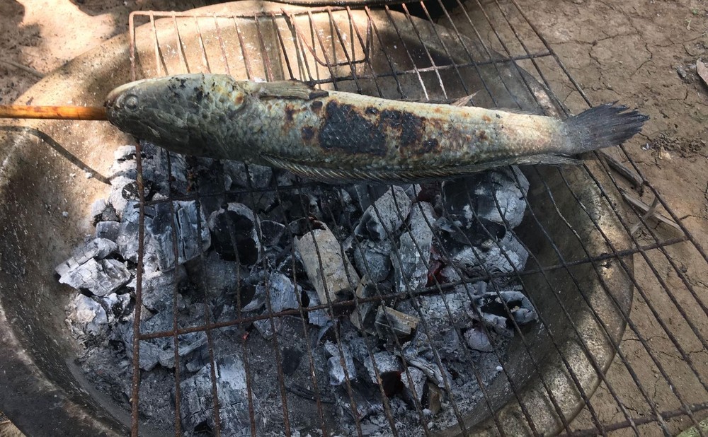 （示意图：互联网）