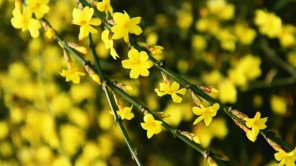 （示意图：互联网）