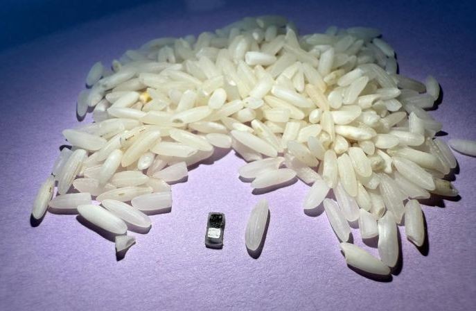 比米粒更小的临时起搏器