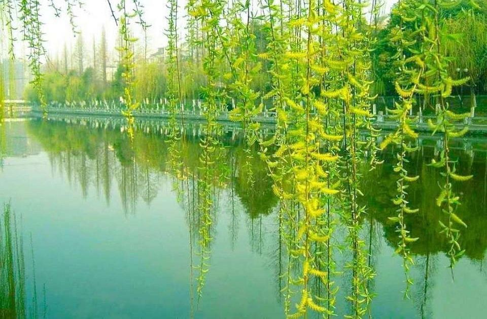 （示意图：互联网）