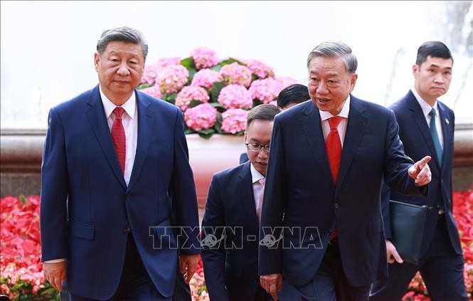 苏林总书记与中共中央总书记、中国国家主席习近平前往党中央办事处进行会谈。（图：越通社）