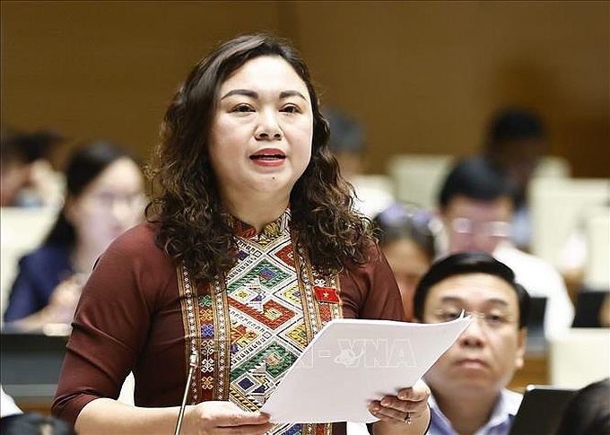 和平省国会代表邓碧玉在会议上发言。