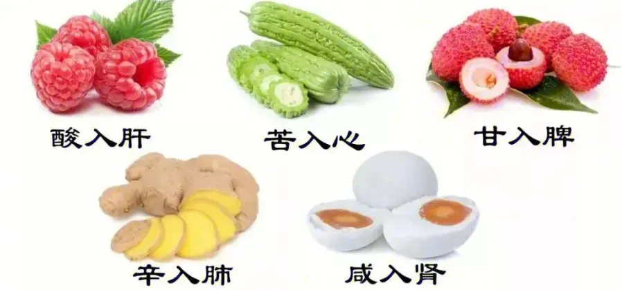 谈食物的四气五味偏性