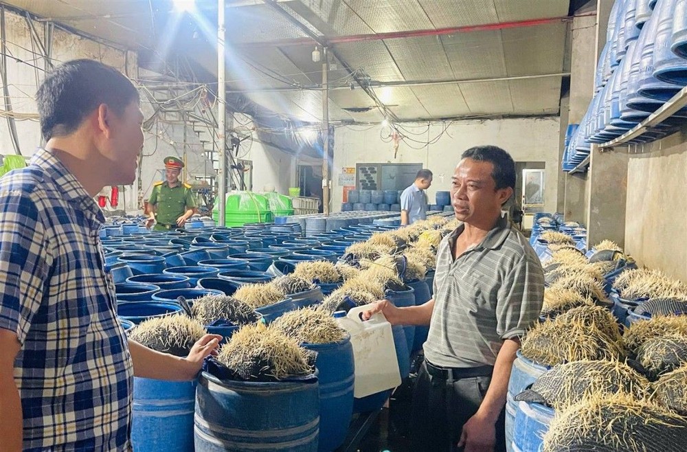 职能力量突检查获上百吨的毒豆芽。（图：警方提供）