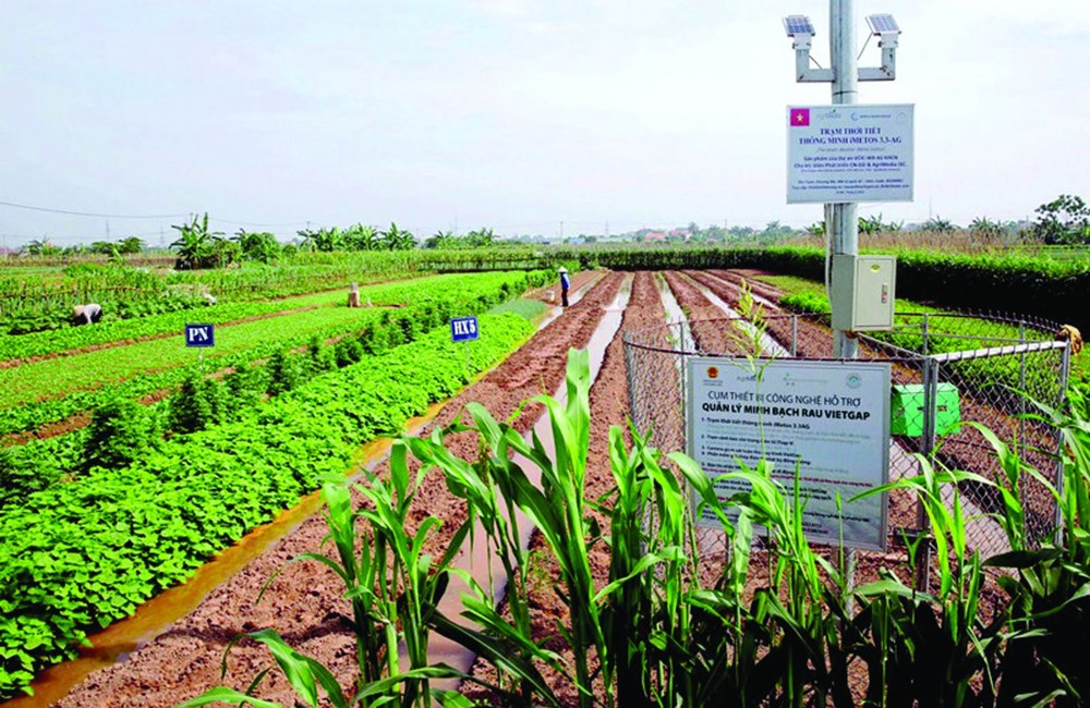 河内一VietGAP标准蔬菜产区的天气测量系统。（图：KNHN）