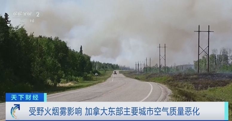 加国东部主要城市因野火烟雾空气质量恶化。（视频截图）