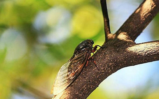 （示意图：互联网）