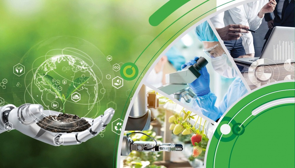 （示意图：TL）