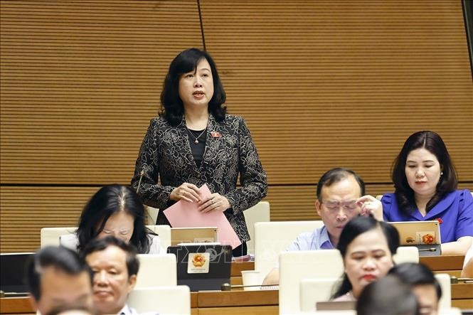 卫生部长陶红兰（站）在讨论会上发言。（图：越通社）