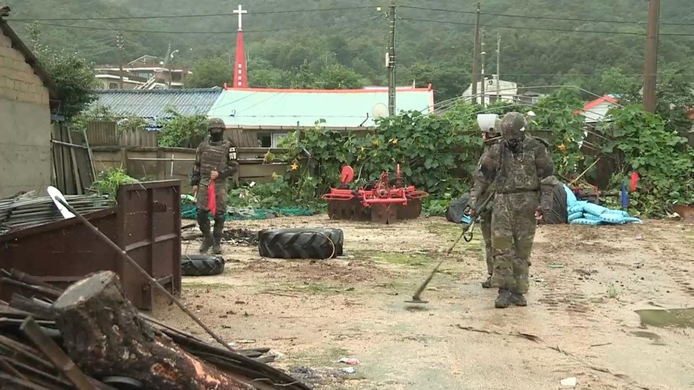 韩朝边境埋有大量地雷。（图：视频截图）