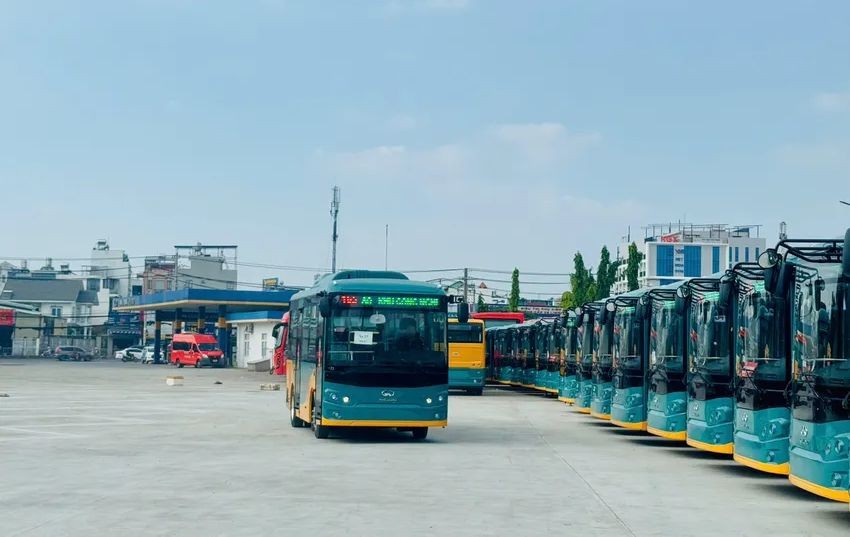 电动绿色巴士队。（图：Đ.T）
