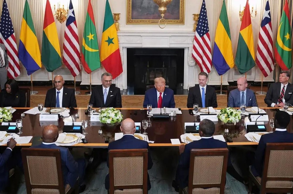 当地时间7月9日，美国总统特朗普在白宫会见非洲五个国家的领导人，表示美国要与他们加强经济合作关系。（图：AP）