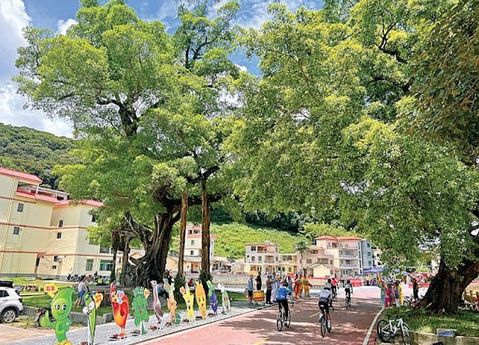 （示意图：互联网）