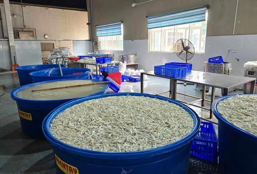 职能力量突查发现有近7吨鸡爪被浸泡在化工原料中进行漂白。（图：工商杂志）