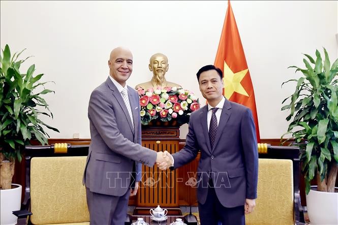 外交部副部长邓黄江（右）与摩洛哥王国驻越南大使贾马勒·舒艾比握手合影。（图：越通社）