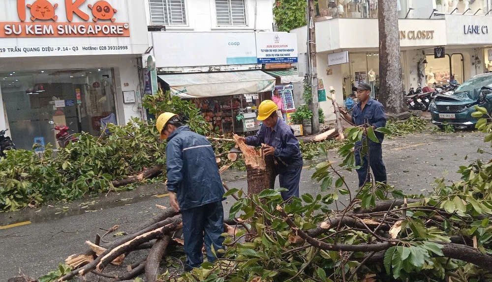 工作人员清理倒伏的树木。