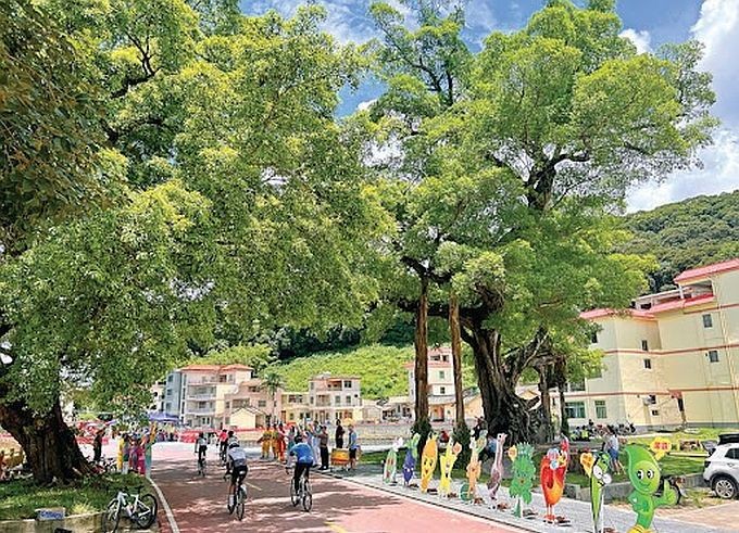 （示意图：互联网）