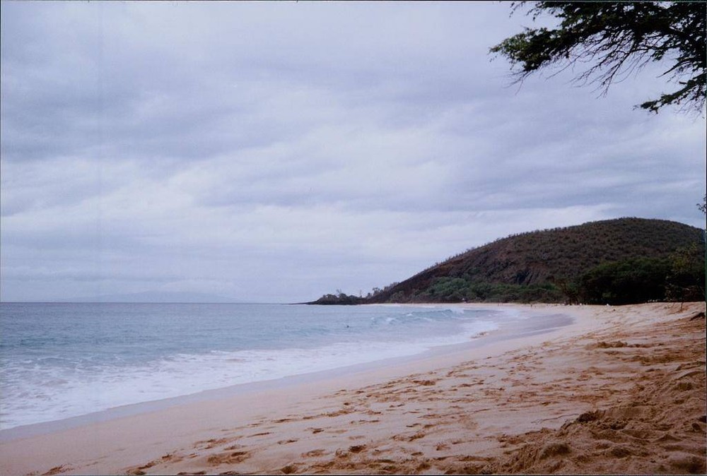 俄罗斯堪察加半岛东海岸今天（7月30日）发生强烈地震后，太平洋海啸预警中心向整个夏威夷州发布海啸警报。（图：互联网）