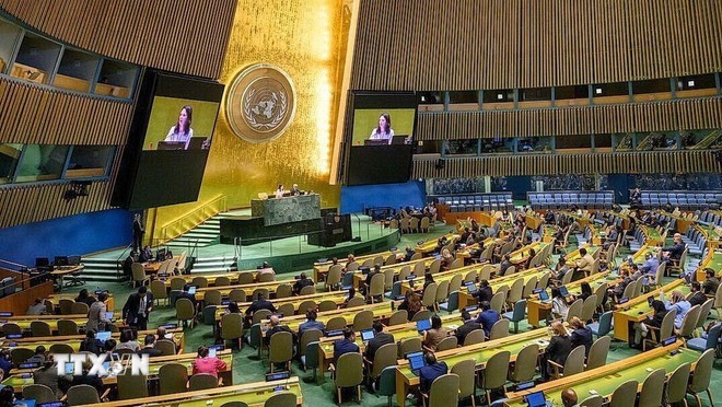 联合国一场会议。(图：越通社）