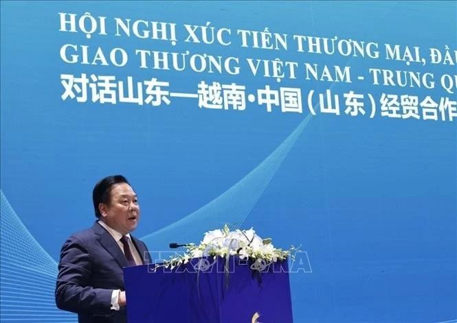 党中央委员、中央政策与战略委员会副主任、越中友好协会主席阮黄英发表讲话。(图：越通社)