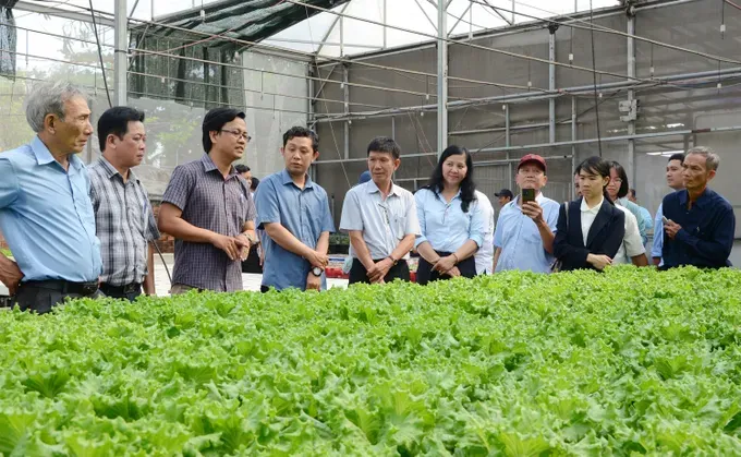 HTX Thủ Đức.jpg