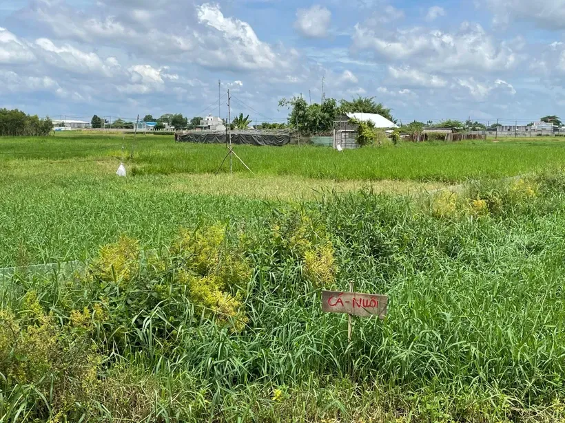 Sau ngày 1-7, khi người dân chuyển mục đích sử dụng đất sẽ phải thực hiện nghĩa vụ tài chính cao hơn