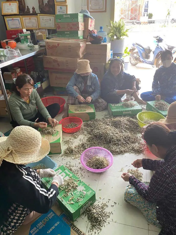 bình châu mt 0.jpg