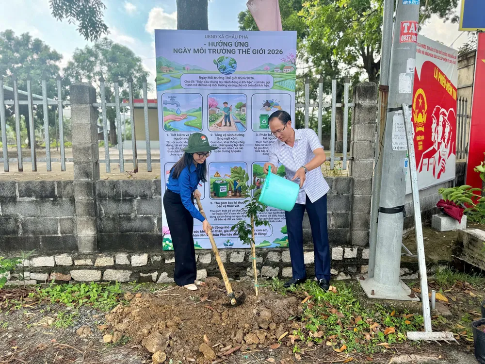 Lãnh đạo UBND xã Châu Pha và các lực lượng tham gia trồng cây sau lễ phát động