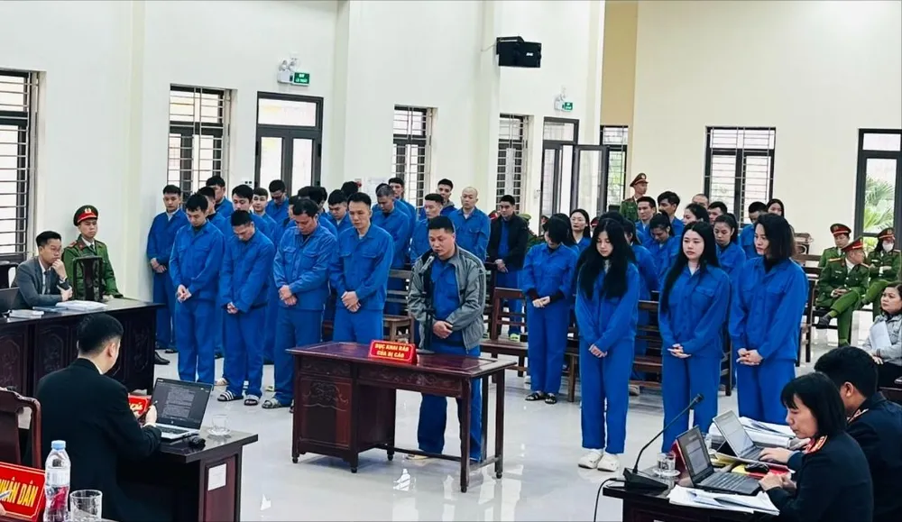 bị cáo lừa đảo.jpg